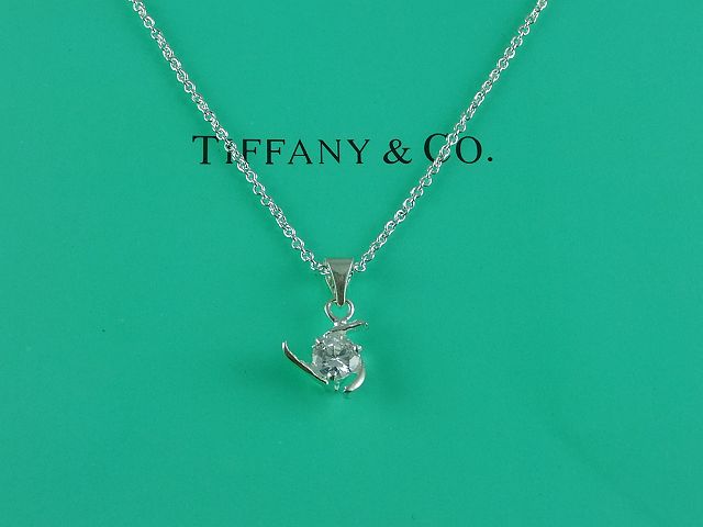 tiffany Necklace-411